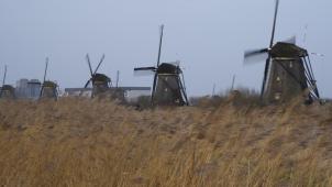 <p>Die berühmten Windmühlen bei Kinderdijk, die ein Wahrzeichen der Niederlande sind, bekommen keine Konkurrenz durch moderne Windräder.</p>