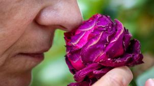<p>Die neue Methode könnte zur Hoffnung für viele Long-Covid Patienten werden.</p>