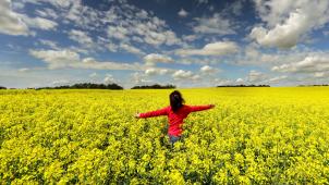 <p>Finnland bleibt das glücklichste Land, aber Belgien feiert Rekordplatzierung.</p>