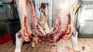 <p>Ein Mitarbeiter zerlegt in einem Schlachthof ein Rind: Rindermangel sorgt hierzulandefür Preisexplosion.</p>