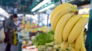 <p>Die genetische Struktur der Banane konnteohne zusätzliche DNA verändert werden.</p>