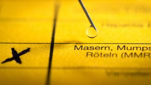 <p>Die WHO mahnt zum verstärkten Impfen gegen Masern an (Bild: Impfpass).</p>