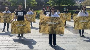 <p>Protestaktion in Hasselt</p>