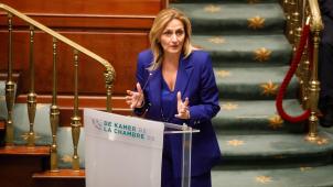 <p>Kathleen Depoorter bei einer Ansprache in der Kammer</p>