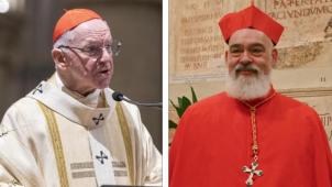 <p>Kardinal Jozef De Kesel (l.) 2022 während einer Messe in Brüssel und Kardinal Dominique Mathieu 2024 bei einem Papstbesuch im Vatikan</p>