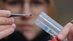 <p>Ungebetene Gäste: Zecken werden zum Frühlingsproblem.</p>