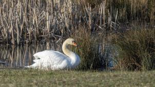 <p>Mehrere Naturparks nehmen an Pilotstudien teil.</p>