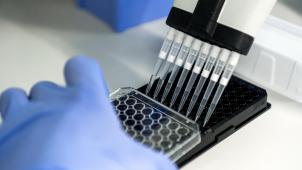 <p>Die Professoren Abhishek Garg (KU Leuven) und François Fuks (ULB) wurden für ihre bahnbrechende Krebsforschung mit dem Preis der AstraZeneca-Stiftung ausgezeichnet.</p>