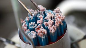 <p>Samenspenden in einem Kühlbehälter. Ein Spermaspender mit Krebs-Gen zeugte Dutzende Kinder.</p>