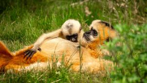 <p>Belgaimage-126197845</p>
