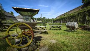 <p>Bei den „Tagen der offenen Bauernhöfe“ erleben Besucher Landwirtschaft hautnah.</p>