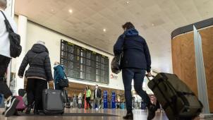 <p>Die belgischen Zollbehörden am Flughafen Brüssel raten Sommerurlaubern zur Vorsicht – besonders bei Alkohol, Bargeld und exotischen Souvenirs.</p>