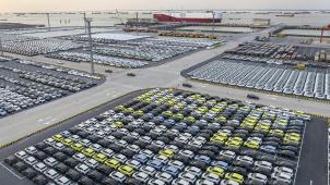 <p>BYD baut seine Marktanteile in Belgien sukzessive aus.</p>