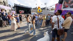 <p>Gent feiert gelassen: Etwas weniger Andrang, aber große Zufriedenheit.</p>
