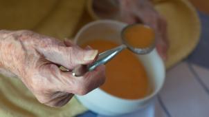 <p>Die Übertragung einer STEC-Infektion erfolgt hauptsächlich durch den Verzehr verunreinigter Lebensmittel</p>