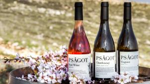 <p>Wein aus dem Westjordanland. Belgien will Produkte aus israelischen Siedlungen künftig nicht mehr einführen.</p>