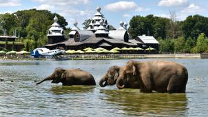 <p>Pairi Daiza gilt als „bester Zoo Europas“.</p>