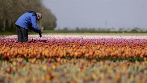 <p>Belgaimage-3915802</p>