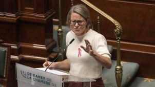 <p>Föderalministerin Anneleen Van Bossuyt</p>