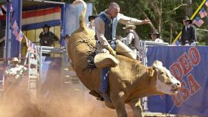 <p>Folklore aus den USA oder Tierquälerei? GAIA will Rodeos in Belgien stoppen.</p>