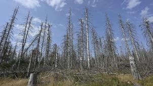 <p>Die Folgen des Klimawandels tragen zur Unsicherheit bei.</p>