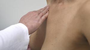 <p>BelSIO verfolgt einen holistischen Ansatz.</p>