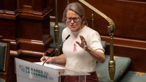 <p>Anneleen Van Bossuyt in der Kammer</p>