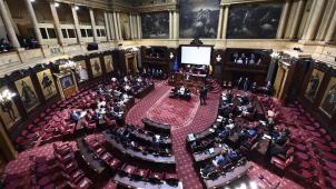 <p>Blick in den Senat</p>