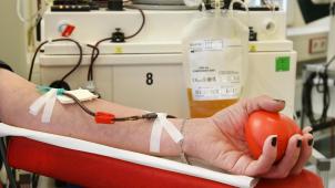 <p>Mit der Aktion „Yellow Friday“ wirbt das Rote Kreuz im November verstärkt für Plasmaspenden.</p>