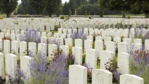 <p>Grabsteine von Commonwealth-Soldaten, die in der dritten Schlacht bei Ypern im Ersten Weltkrieg getötet wurden.</p>