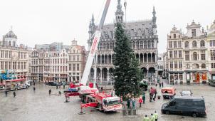 <p>Mit schwerem Gerät wurde der Baum auf dem Grand-Place aufgestellt.</p>