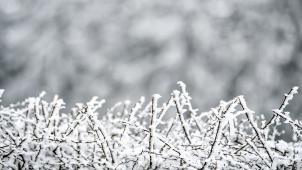 <p>Viele Touristen hoffen bei ihrem Kurzaufenthalt in den Ardennen auf Schnee.</p>