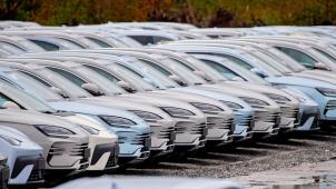 <p>Zahlreiche neue Elektrofahrzeuge von Byd stehen auf einem Parkplatz.</p>