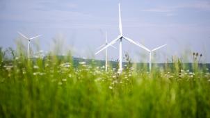 <p>Greenpeace warnt vor einem drastischen Rückgang der Investitionen in erneuerbare Energien in Belgien – vor allem der stockende Ausbau der Windkraft bereitet Sorgen.</p>
