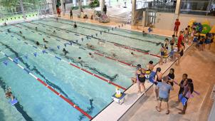 <p>Für das Sportschwimmen gibt es ab 2026 eine Jahreskarte.</p>