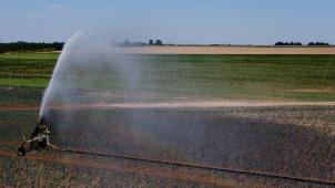 <p>Fast 3 Grad mehr: Der Klimawandel trifft Belgien besonders stark.</p>