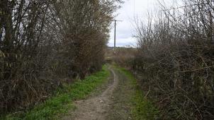 <p>Der Fußweg zwischen Herbesthal und Lontzen soll ausgebaut werden, damit er künftig auch fahrrad- und kinderwagentauglich ist.</p>