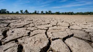 <p>Der April 2026 zählt in Belgien zu den trockensten seit Jahrzehnten.</p>