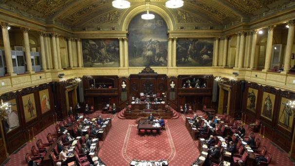 <p>Die MR wird genauso viele Sitze im Senatsplenum haben wie die PS.</p>