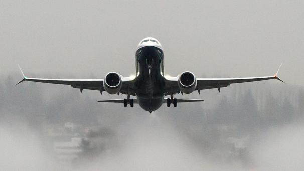 <p>Neuer Ärger um den mit Flugverboten belegten Krisenjet 737 Max.</p>