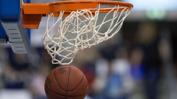 <p>basketball illustration</p>