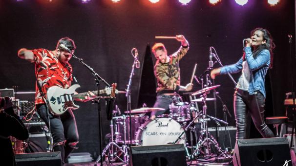 <p>Scars on Louise ist eine regionale Band und teilt sich den Rock-Abend mit Novotones.</p>
