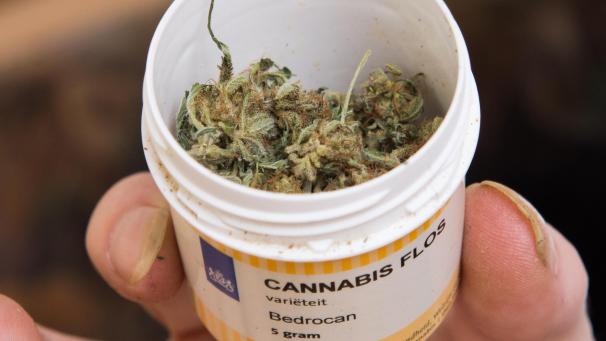 <p>Cannabis auf Rezept: Schmerzmittel mit Risikopotenzial.</p>