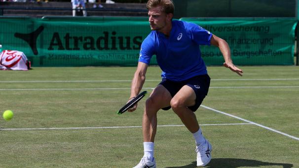 <p>David Goffin</p>