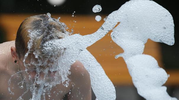 <p>Menschen, Tiere oder Pflanzen: Temperaturen über 30 Grad erfordern Durchhaltevermögen von allen.</p>
