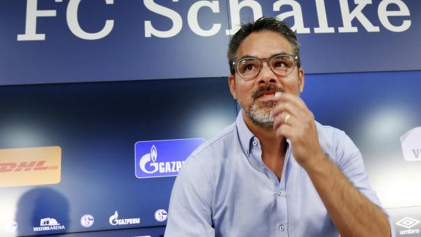 <p>Einer von sieben Neuen: Schalkes Cheftrainer David Wagner</p>