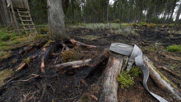 <p>Bei dem Brand am Mittwoch am Rande des Hohen Venns waren 15.000 Quadratmeter Wald zerstört worden.</p>