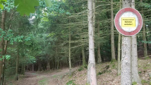 <p>Fast ein Viertel der ostbelgischen Waldflächen befindet sich im Privatbesitz.</p>