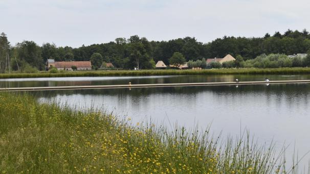 <p>Radfahren durchs Wasser, genauer gesagt durch einen See auf Augenhöhe mit der Wasserfläche und den Wasservögeln, ist absolut originell. Der Radweg am Knotenpunkt 91 in Bokrijk 200 Meter quer durchs Wasser wurde vom „Time Magazin“ im vergangenen Jahr zu den „Top 100 Worlds Greatest Places“ gekürt.</p>