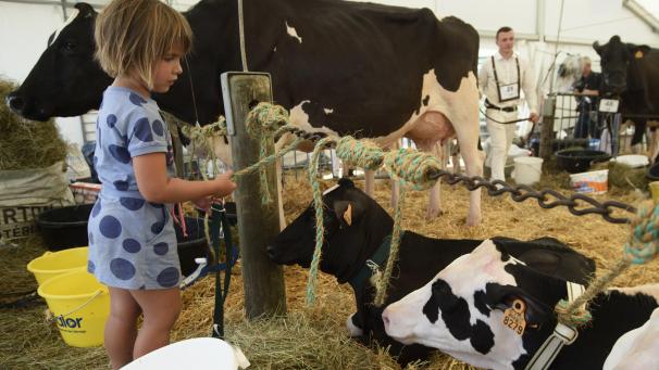 <p>Die Landwirtschaftsmesse in Libramont ist auch bei Kindern sehr beliebt.</p>